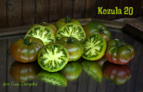 Kozula-20-purple--chocolate-K10089452b6ba7bfad6f4.jpg
