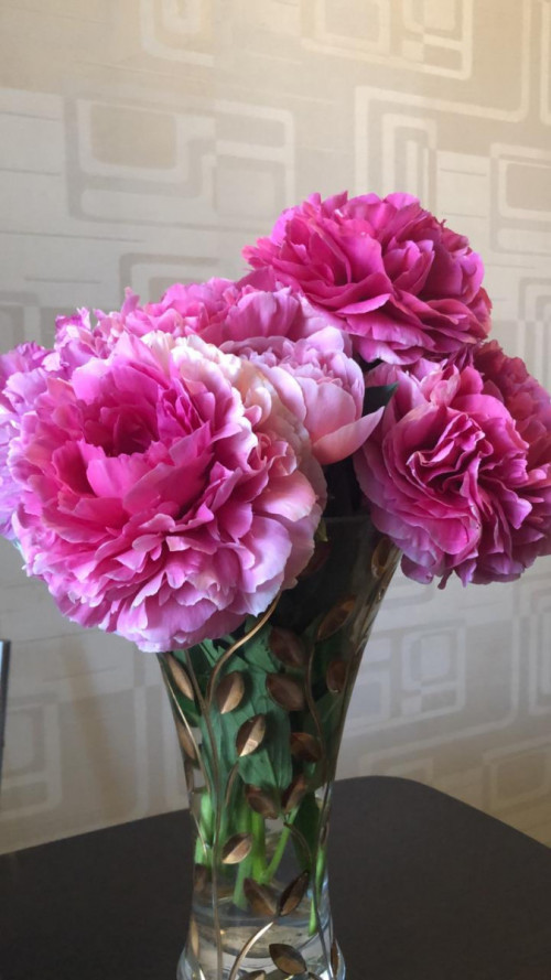 IMG-20190608-WA0000ac86f0040c6020e3.jpg