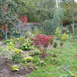 7lswue-eeyf754855c7a007124