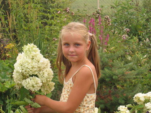 Grandiflora5419effe56b494b6.jpg
