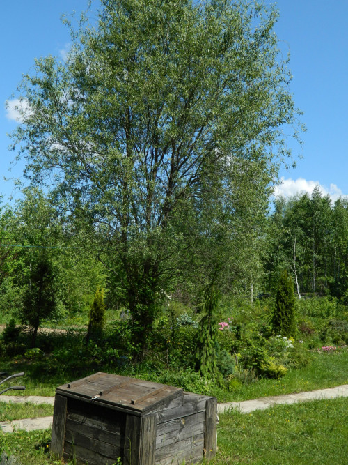 DSCN0054