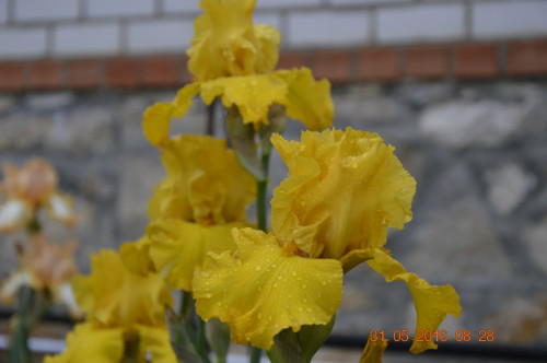 _DSC078586273e91ca626313.jpg
