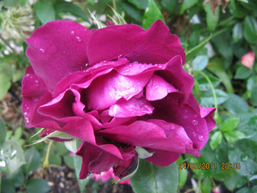 2011 06 24%252520007